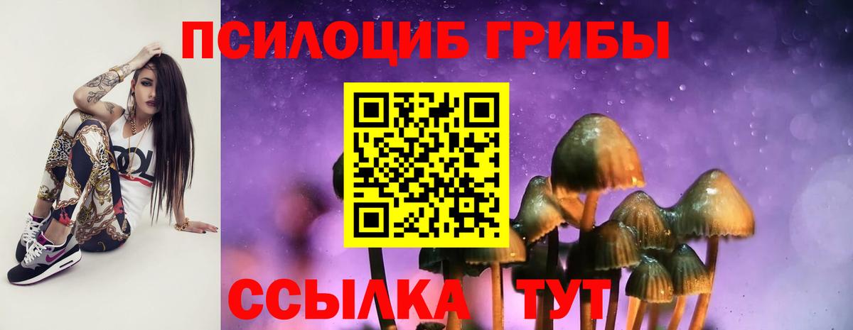Псилоцибиновые грибы прущие грибы Черняховск