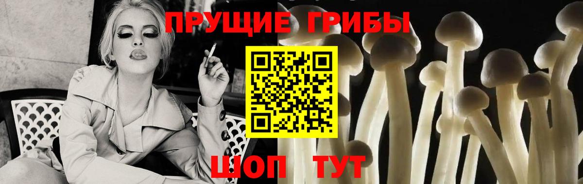 Черняховск  Псилоцибиновые грибы мицелий  Вход с VPN 